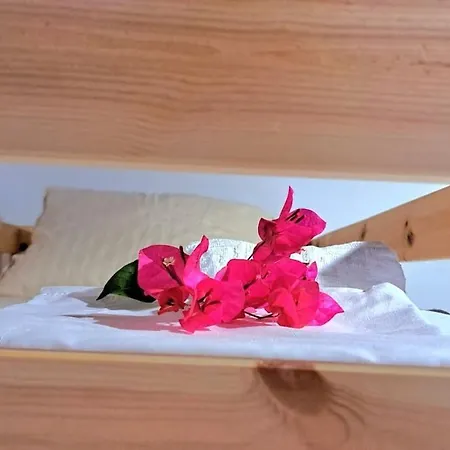 Mise Дом отдыха *