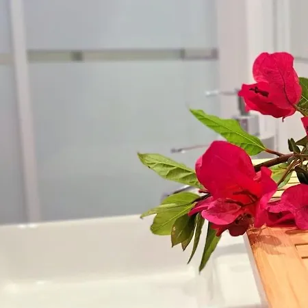 Mise * Кониль-де-ла-Фронтера