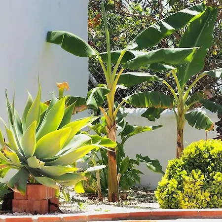 Casa de Férias Mise