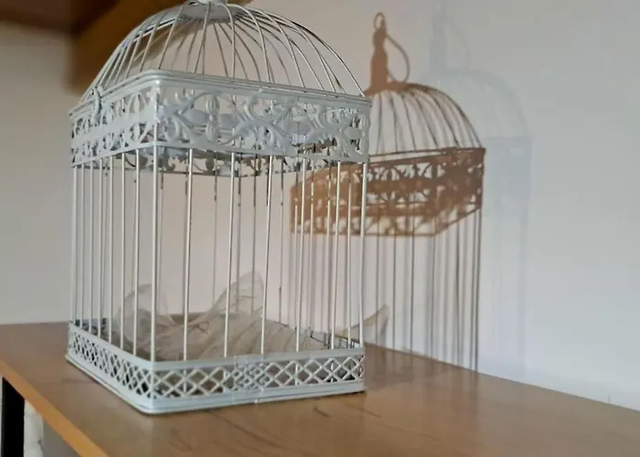 Mise Ferienhaus Conil De La Frontera