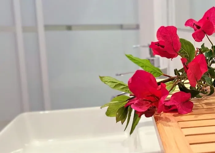 Mise * Кониль-де-ла-Фронтера